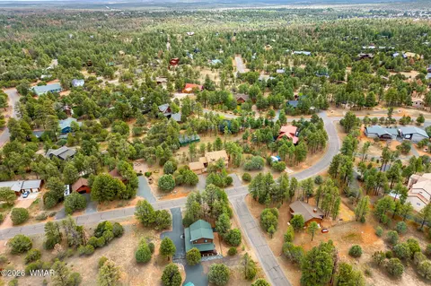 View/Area - 2937 Ransack Rd, Overgaard, AZ 85933 photo 4 of 5