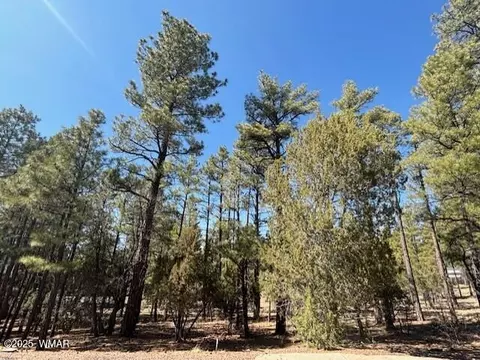 4790 W Hawthorn Rd, Show Low, AZ 85901