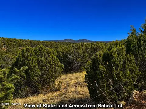 8595 Bobcat Dr, Show Low, AZ 85901 photo 12