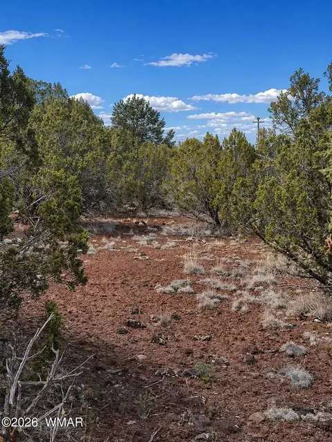 8595 Bobcat Dr, Show Low, AZ 85901 photo 10