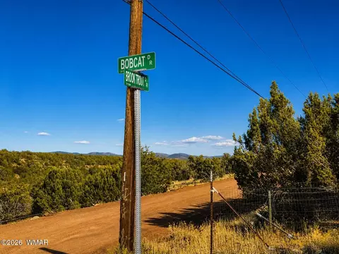 8595 Bobcat Dr, Show Low, AZ 85901 photo 3