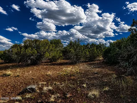 8595 Bobcat Dr, Show Low, AZ 85901 photo 8