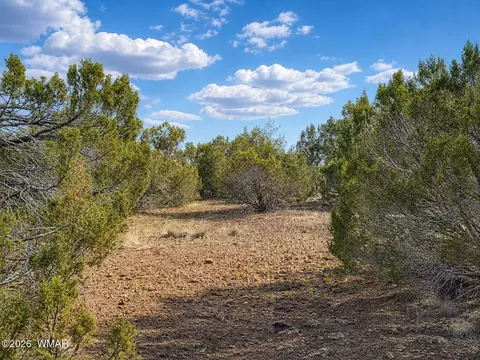 8595 Bobcat Dr, Show Low, AZ 85901 photo 7