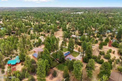 View/Area - 2922 Pine Rim Rd, Overgaard, AZ 85933 photo 4 of 9