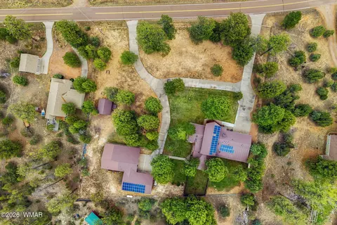 View/Area - 2922 Pine Rim Rd, Overgaard, AZ 85933 photo 3 of 9