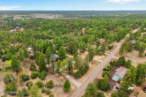 View/Area - 2922 Pine Rim Rd, Overgaard, AZ 85933 photo 5 of 9