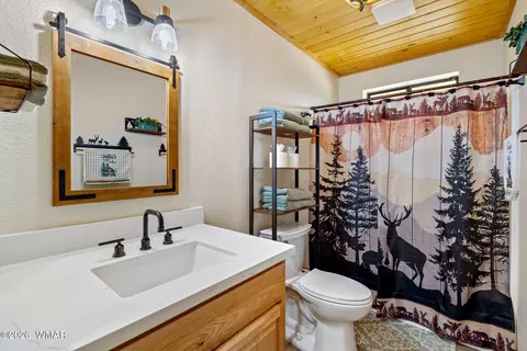 Bath - 2924 Pine Rim Rd, Overgaard, AZ 85933 photo 1 of 4