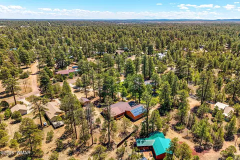View/Area - 2924 Pine Rim Rd, Overgaard, AZ 85933 photo 5 of 6