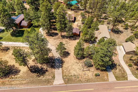 View/Area - 2924 Pine Rim Rd, Overgaard, AZ 85933 photo 1 of 6