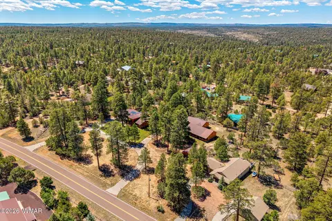 View/Area - 2924 Pine Rim Rd, Overgaard, AZ 85933 photo 2 of 6