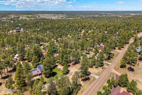 View/Area - 2924 Pine Rim Rd, Overgaard, AZ 85933 photo 3 of 6