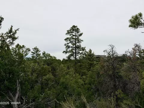 4918 Sunset Ridge Dr, Happy Jack, AZ 86024