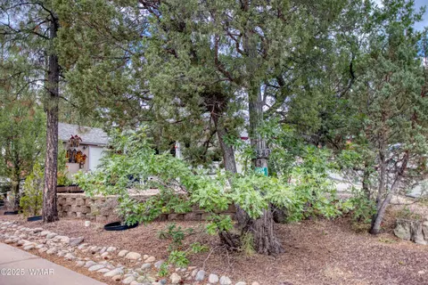 2201 E Quarter Horse Way, Show Low, AZ 85901 photo 18