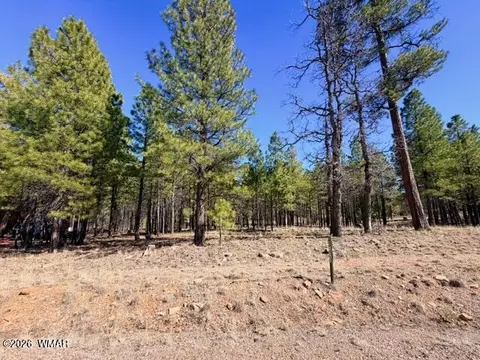 1865 Pine Canyon Dr, Happy Jack, AZ 86024