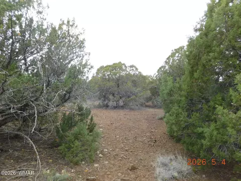 8333 Ridge Dr, Show Low, AZ 85901