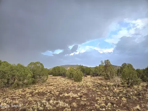 lot9 Pinon Valley Rnch, Concho, AZ 85924