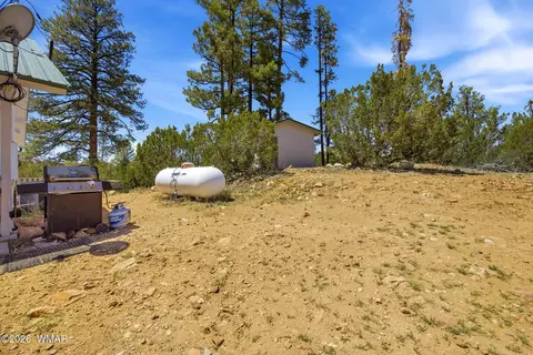 Exterior - 3418 Aztec Dr, Overgaard, AZ 85933 photo 7 of 8