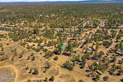 View/Area - 3418 Aztec Dr, Overgaard, AZ 85933 photo 2 of 6