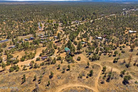 View/Area - 3418 Aztec Dr, Overgaard, AZ 85933 photo 3 of 6