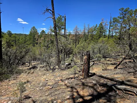2953 S White Mtn, Show Low, AZ 85901