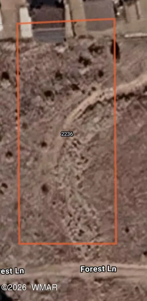 2236 Forest Ln, Overgaard, AZ 85933