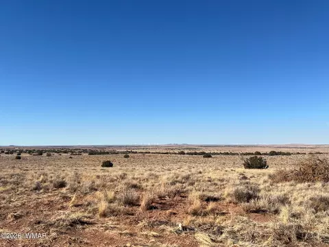 8539 Terry Trl, Snowflake, AZ 85937 photo 10