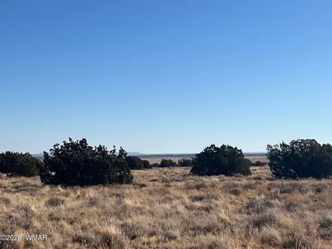 8539 Terry Trl, Snowflake, AZ 85937 photo 8
