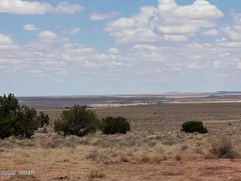 8539 Terry Trl, Snowflake, AZ 85937 photo 5