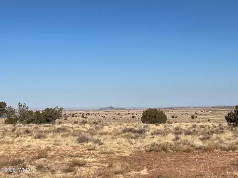 8539 Terry Trl, Snowflake, AZ 85937 photo 9