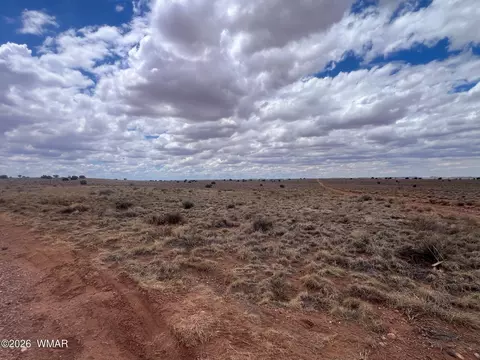 8539 Terry Trl, Snowflake, AZ 85937 photo 19
