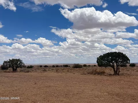 8539 Terry Trl, Snowflake, AZ 85937 photo 17