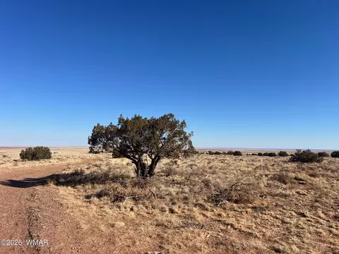 8539 Terry Trl, Snowflake, AZ 85937 photo 3