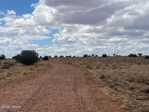 8539 Terry Trl, Snowflake, AZ 85937 photo 18