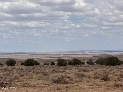 8539 Terry Trl, Snowflake, AZ 85937 photo 6