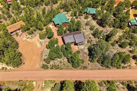 View/Area - 1992 Red Deer Run, Overgaard, AZ 85933 photo 2 of 6