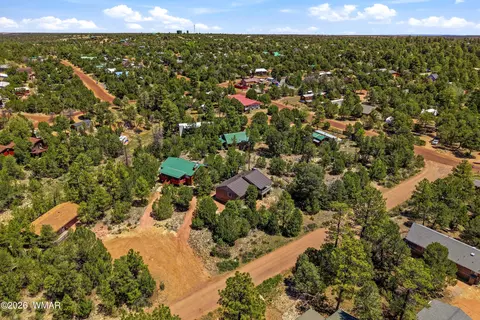 View/Area - 1992 Red Deer Run, Overgaard, AZ 85933 photo 3 of 6