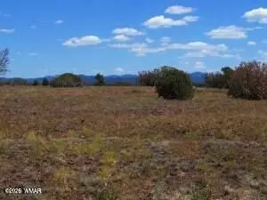 8523 Bobcat Dr, Show Low, AZ 85901