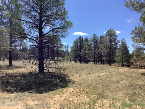 tbd Cedar Bark Trl, Overgaard, AZ 85933