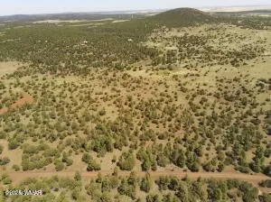 tbd N3263 Parcel 1, Vernon, AZ 85940
