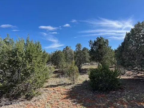 2277 Sunrise Rd, Overgaard, AZ 85933