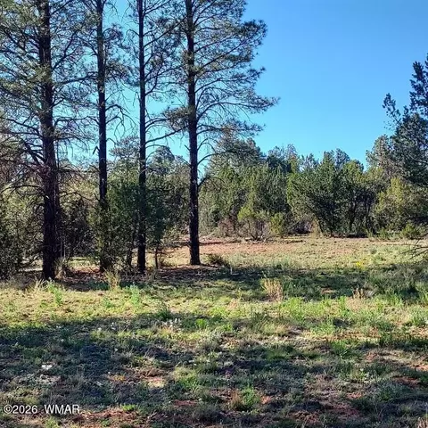 31203122 Whitetail Way, Overgaard, AZ 85933 photo 2