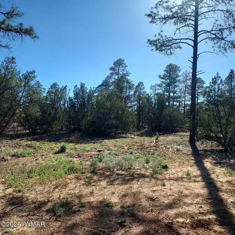 31203122 Whitetail Way, Overgaard, AZ 85933 photo 7