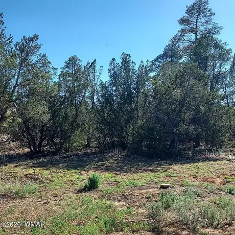 31203122 Whitetail Way, Overgaard, AZ 85933 photo 6
