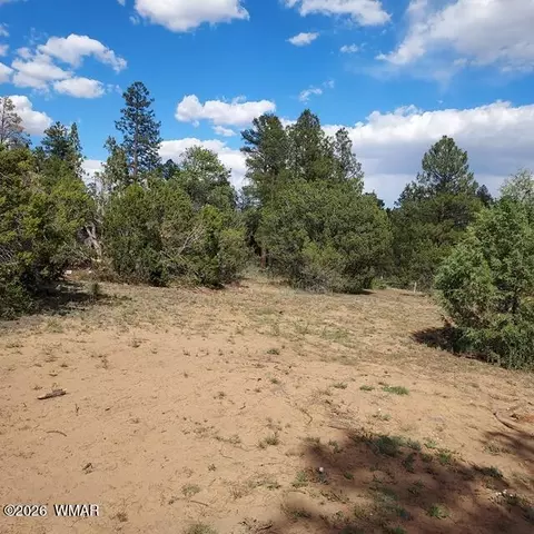 31203122 Whitetail Way, Overgaard, AZ 85933 photo 4