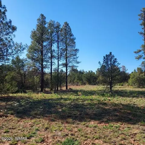 31203122 Whitetail Way, Overgaard, AZ 85933