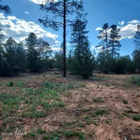 31203122 Whitetail Way, Overgaard, AZ 85933 photo 5