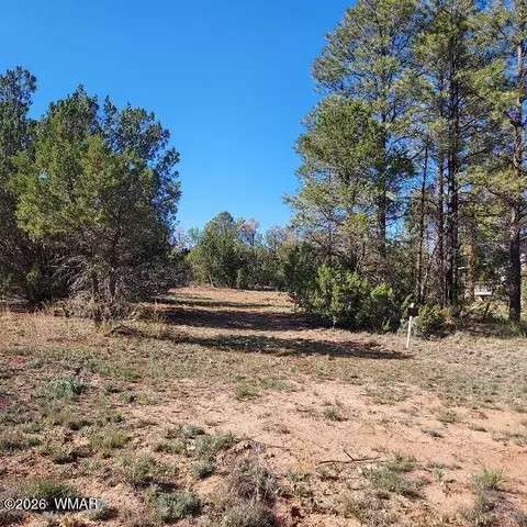 31203122 Whitetail Way, Overgaard, AZ 85933 photo 3