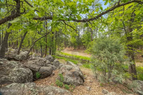 1358 W Big Springs Trl, Lakeside, AZ 85929