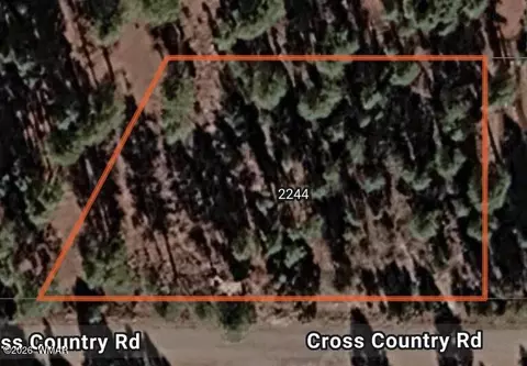 2244 Cross Country Rd, Overgaard, AZ 85933