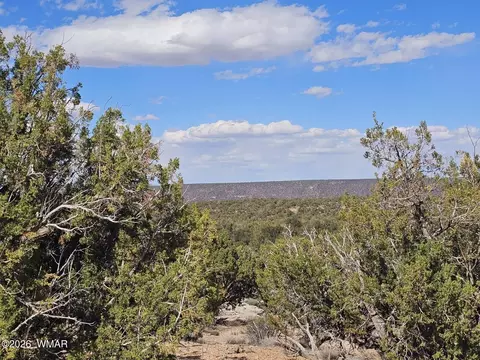 3945 Valley Rd, Snowflake, AZ 85937